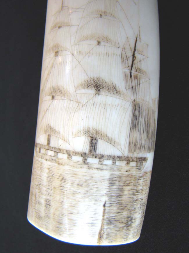 An Historic Civil War era scrimshawed Walrus Tusk circa 1863-1866 — image 6